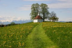 Kapelle bei Hergensweiler 326.jpg