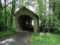 Waldhütte Waldhütte